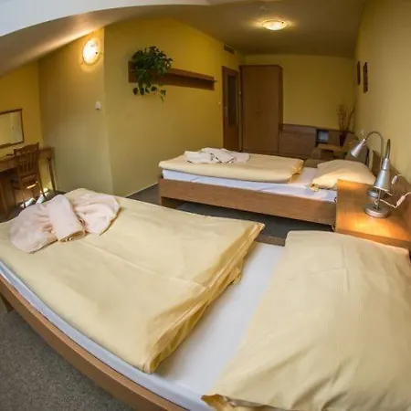 Hotel Na Jižní 3*