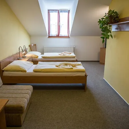 Hotel Na Jižní 3*